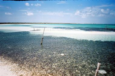 Die Strände auf Cayo Coco,_UW 06_10_B720